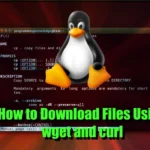 How to Download Files With curl and wget