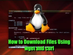 How to Download Files With curl and wget