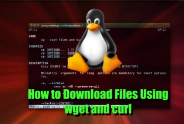 How to Download Files With curl and wget
